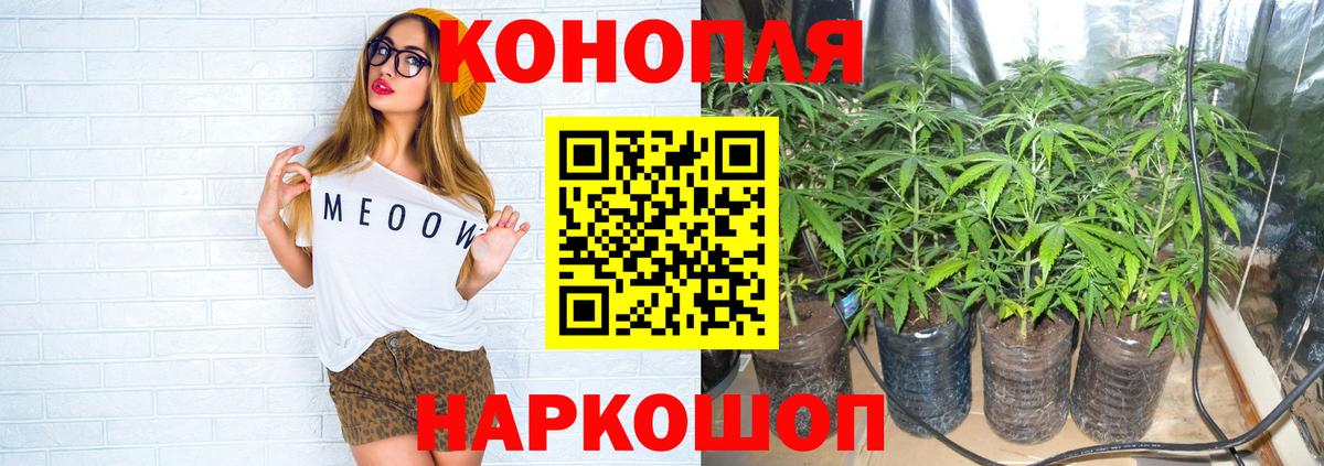 Каннабис индика Нальчик